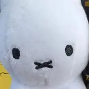 みちゃんの画像