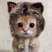 maro
