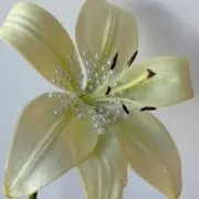 ♩