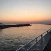 y.tt