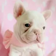 K ♡の画像