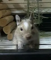 つーちゃん