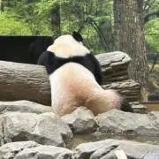みかちゅう