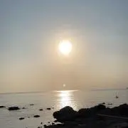 YYの画像