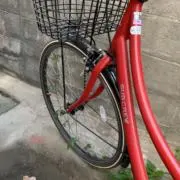 ポコの画像