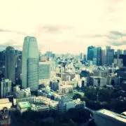 ゆーの画像