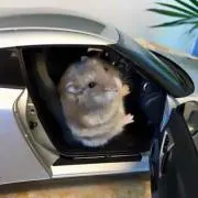 公名の画像