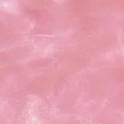 よだの画像