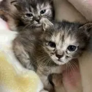 りな♡一部お値下げ可能の画像