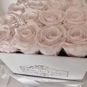 ゅ♡の画像