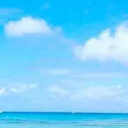 Miyaの画像