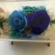 マサプーの画像
