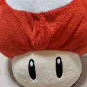 かごめの画像