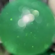フーファイターズの画像