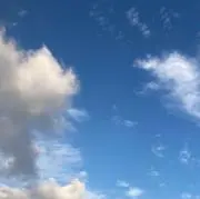 純の画像