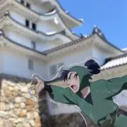 かめの画像