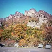 どべの画像