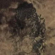 ssyinの画像