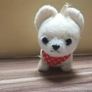 かーるの画像