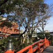 daiyu!!