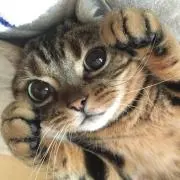 まめぞう_断捨離中の画像