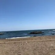ぶぅの画像