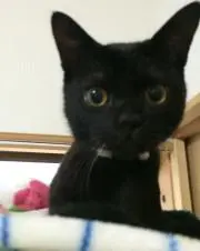そらくん