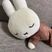 seikasanの画像