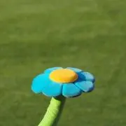 minaooooの画像