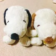 すぬーぴの画像