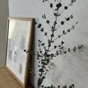 あさひの画像