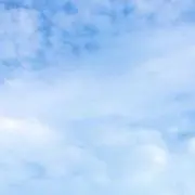 たか
