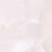 まこゴンの画像