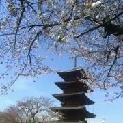 神無月の画像