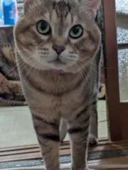 正の画像