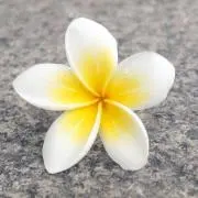 【plumeria様ご予約品】ハンドメイドエプロン plumeria様ご予約品】ハンドメイドエプロン - メルカリ