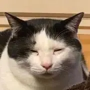 河合の画像