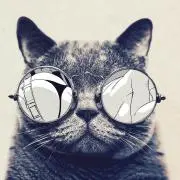 ななみの画像