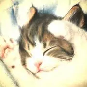 neco