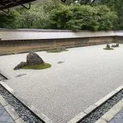 うずまきまきこ