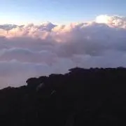MAの画像