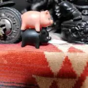かくおの画像