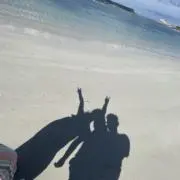 Yの画像