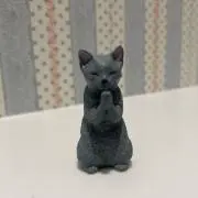 riku3の画像