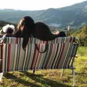 Doremidoの画像