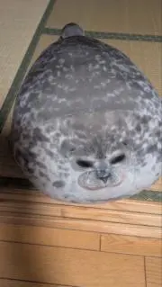 らんこの画像