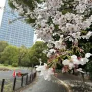 なの画像