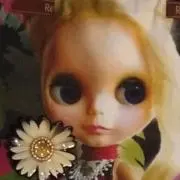 デイジー★の画像