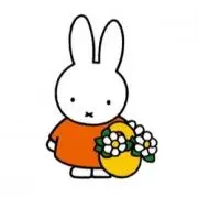 Haru✴︎の画像