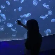 Ronの画像